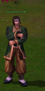 Ada Npc